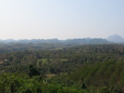 IMG_5020