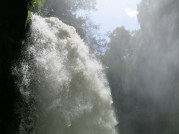 IMG_7851