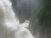 IMG_7853