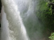 IMG_7855
