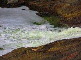 IMG_7875