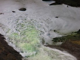 IMG_7877